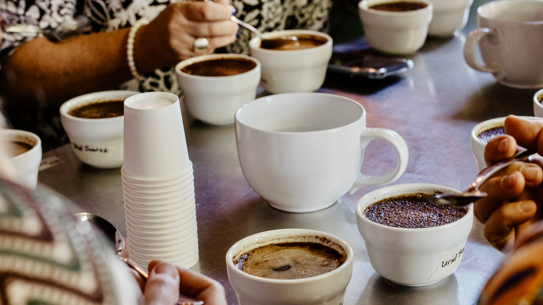 コーヒーの味を知る「カッピング」とは？〜品質管理に欠かせない評価方法〜