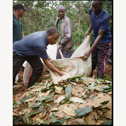 【ルワンダ コーヒーチャレンジ】ローストコンペティションウィナーセット