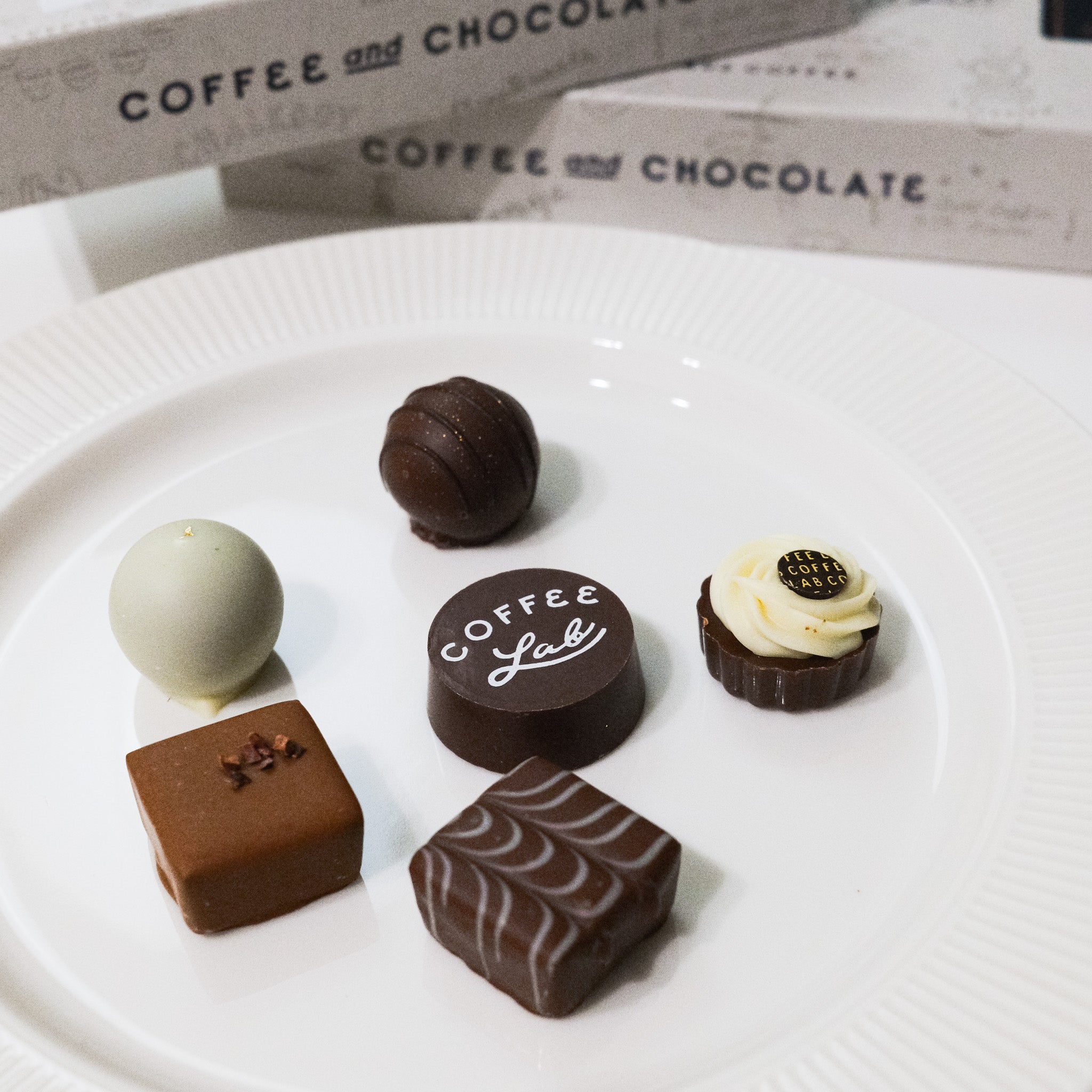 COFFEE LAB 2026】オニバスショコラ 8個入り | ONIBUS COFFEE